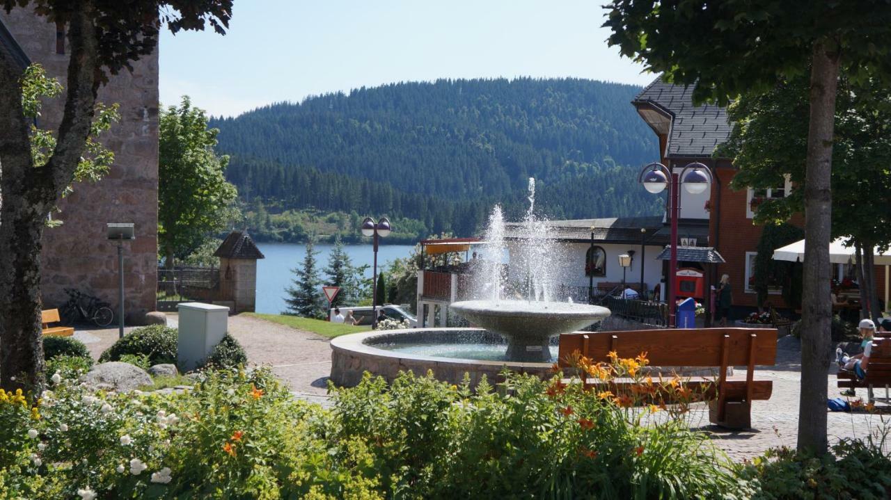 Waldblick Apartment Schluchsee Bagian luar foto